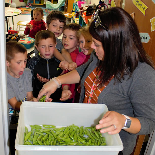 Health begins with eating a healthy diet.  Image depicts a teacher handing out sugar snap peas.